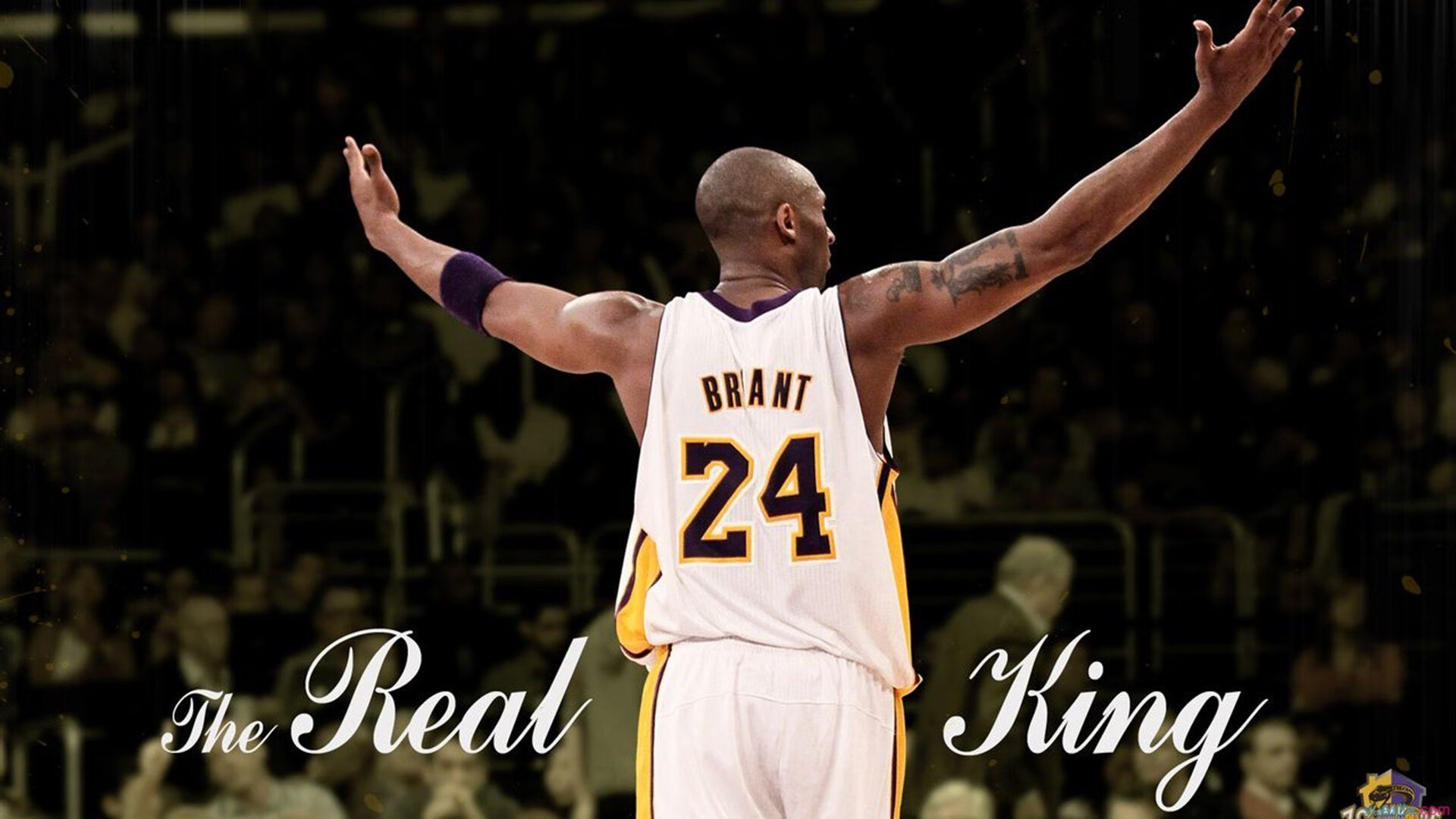 李娜谈退役生活称家庭是最大支柱，李娜多大退役